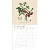 Calendrier Oranger 2027 Dessin Fruits et Arbres Fruitiers
