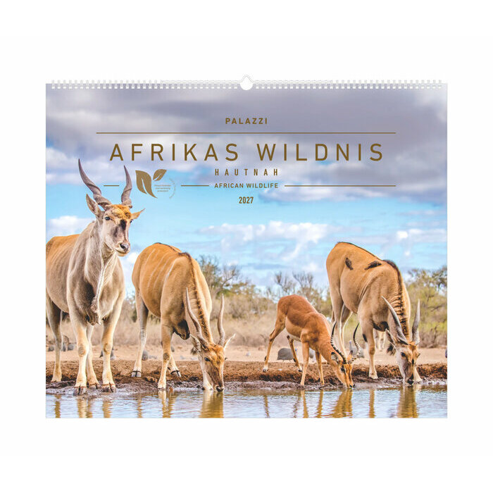 Maxi Calendrier 60x50cm 2027 Animaux Sauvages