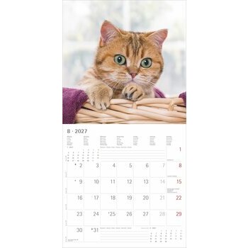 Calendrier 2027 Chats Funny Dr&ocirc;le 