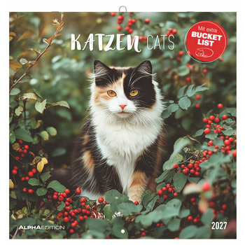 Calendrier 2027 Chats Funny Dr&ocirc;le 