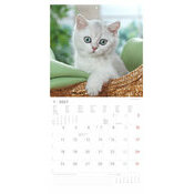 Calendrier mural papier 2027 Chats Funny Dr�le 