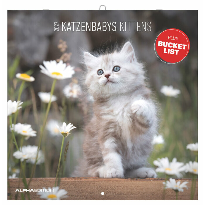 Calendrier mural 2027 Chats Funny Dr�le 