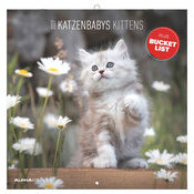 Calendrier mural 2027 Chats Funny Dr�le 