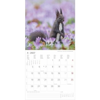 Calendrier 2027 Animaux de la for&ecirc;t Nature 