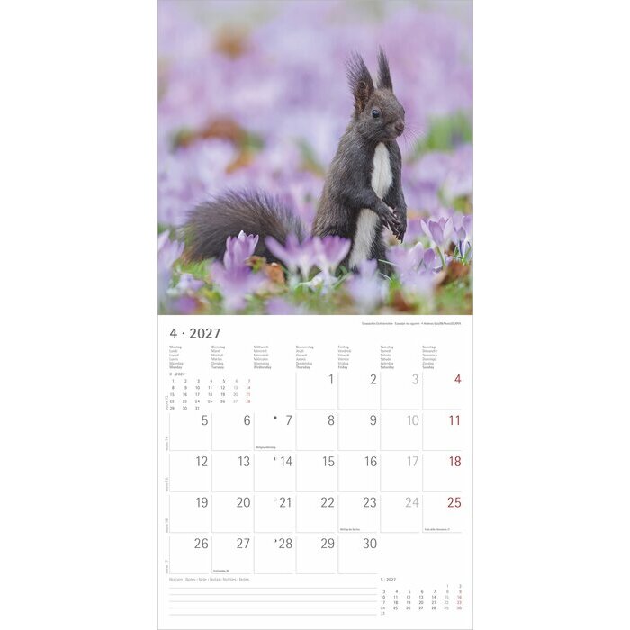 Calendrier 2027 Animaux de la for�t