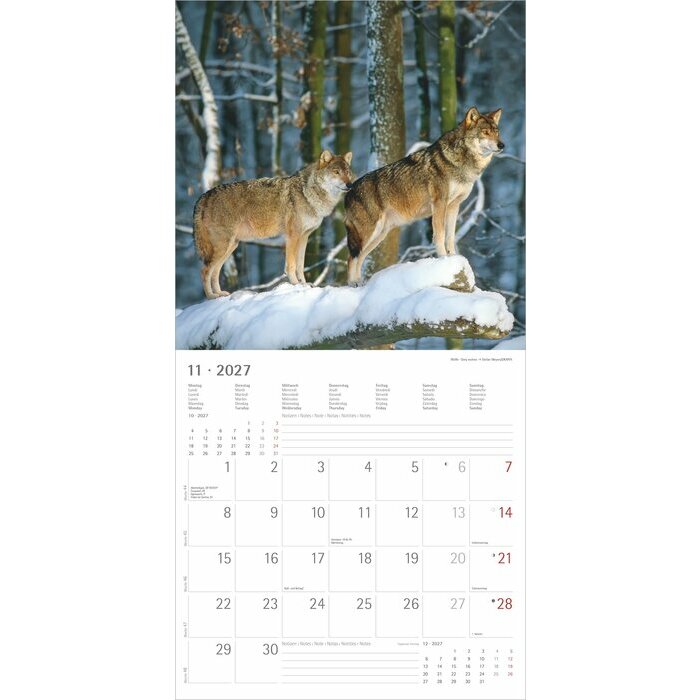 Calendrier papier 2027 Animaux de la for�t