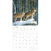 Calendrier papier 2027 Animaux de la for�t