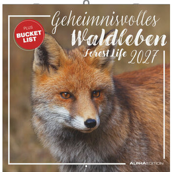 Calendrier 2027 Animaux de la for&ecirc;t Nature 