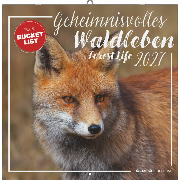 Calendrier Renard 2027 Animaux de la for�t