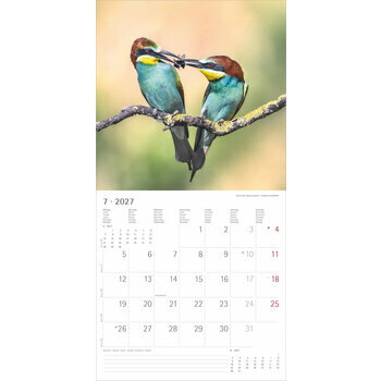 Calendrier 2027 Oiseaux Nature Majestueux