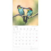 Calendrier mural papier2027 Oiseaux Nature Majestueux