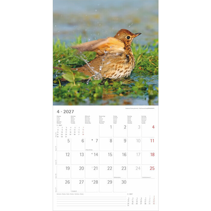 Calendrier 2027 Oiseaux Nature Majestueux
