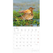Calendrier 2027 Oiseaux Nature Majestueux