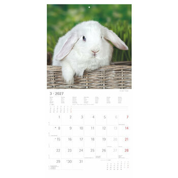  Calendrier 2027 Lapins Nature Mignons