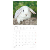 Calendrier mural papier2027 Lapins Nature Mignons