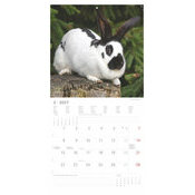 Calendrier 2027 Lapins Nature Mignons