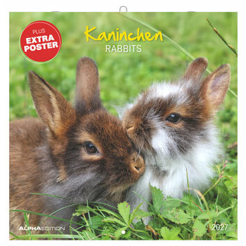  Calendrier 2027 Lapins Nature Mignons