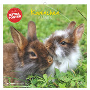 Calendrier mural 2027 Lapins Nature Mignons
