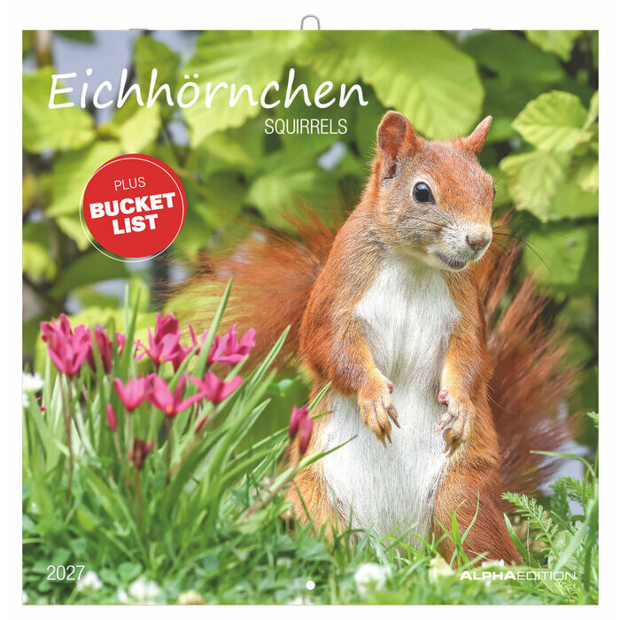 Calendrier mural 2027 Ecureuils Nature Mignons