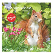 Calendrier mural 2027 Ecureuils Nature Mignons
