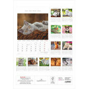 Calendrier Spirale 2027 Chats