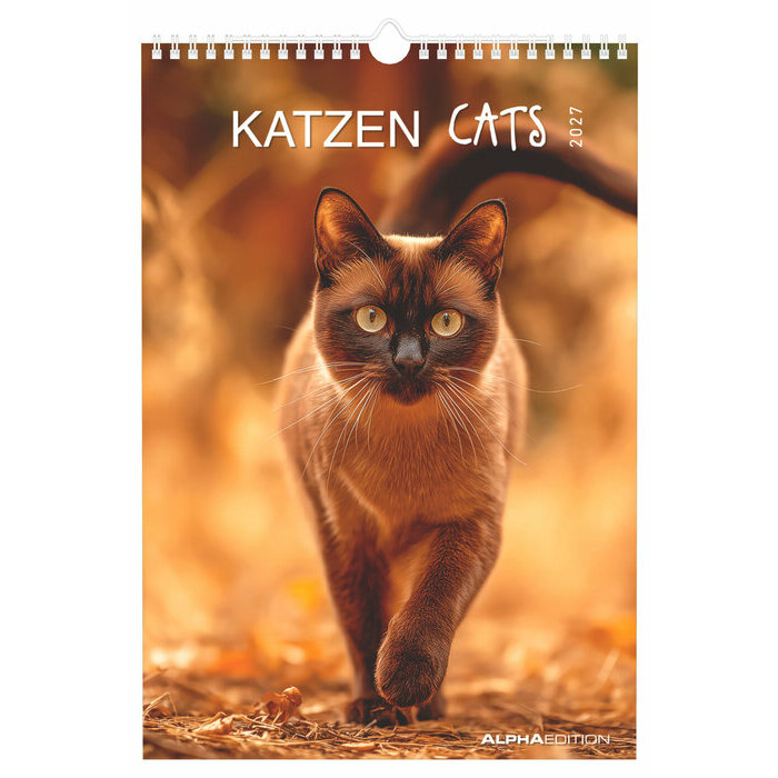 Calendrier Spirale 2027 Chats Chats de Race