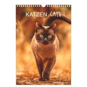 Calendrier Spirale 2027 Chats Chats de Race