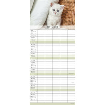 Calendrier Familial 2027 Chatons