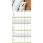 Calendrier Familial 2027 Chatons