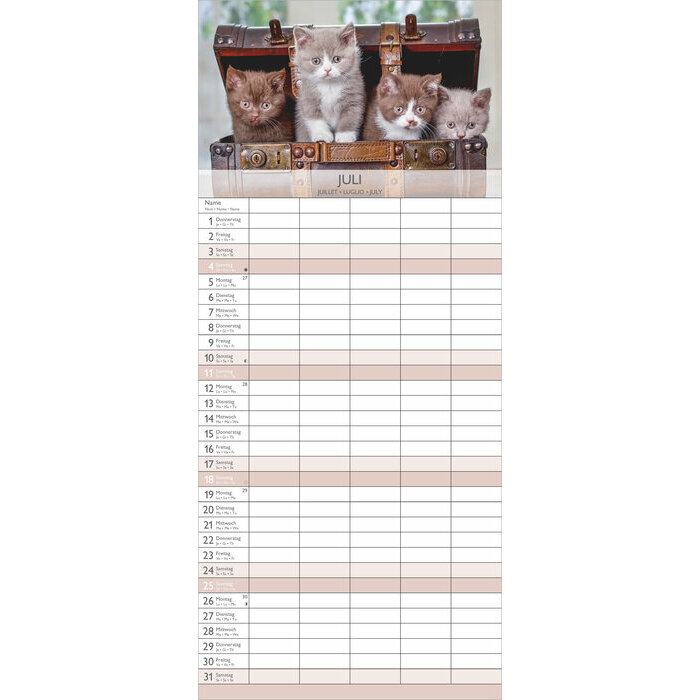 Calendrier Familial 2027 Chat