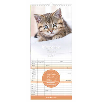 Calendrier Familial 2027 Chatons