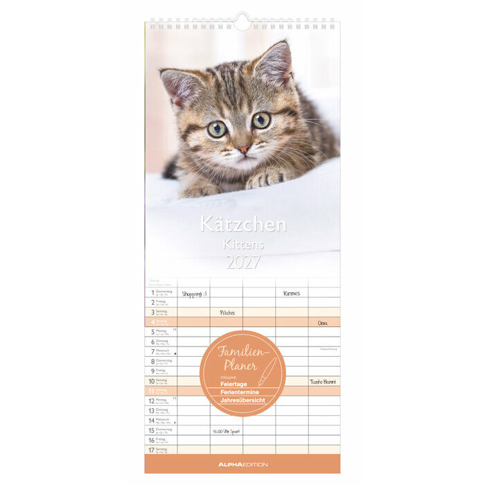 Calendrier Spirale Familial 2027 Chatons