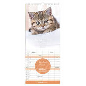 Calendrier Spirale Familial 2027 Chatons