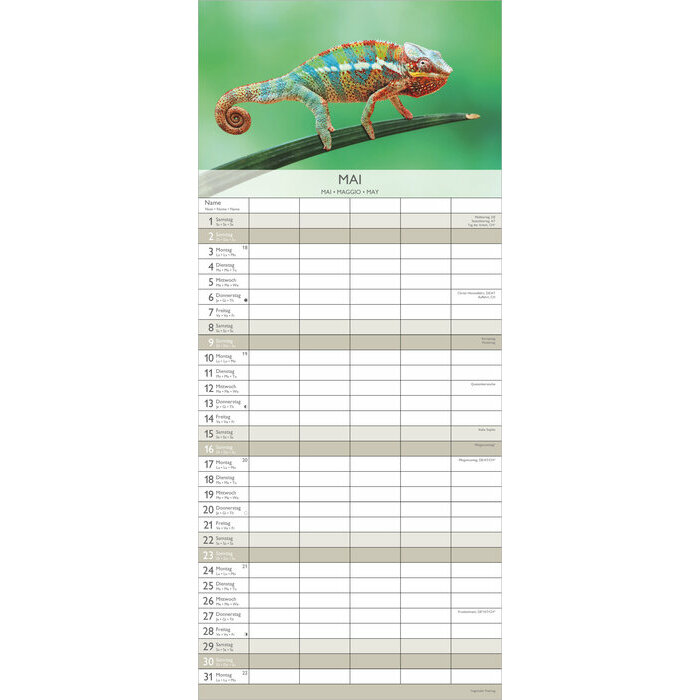 Calendrier Familial 2027 Happy Moments