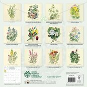 Calendrier 2027 Dessins Fleurs Botanique Jardin Royal Edimbourg Calendrier 2027 Dessins Fleurs Botanique Jardin Royal Edimbourg