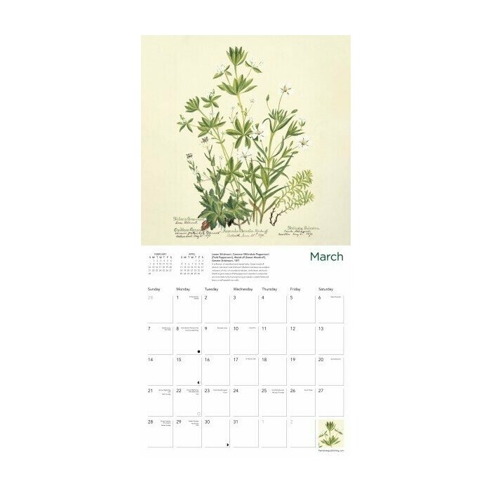 Calendrier 2027 Dessins Fleurs Botanique Jardin Royal Edimbourg Calendrier papier 2027 Dessins Fleurs Botanique Jardin Royal Edimbourg