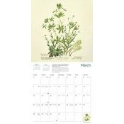 Calendrier 2027 Dessins Fleurs Botanique Jardin Royal Edimbourg Calendrier papier 2027 Dessins Fleurs Botanique Jardin Royal Edimbourg