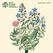 Calendrier 2027 Dessins Fleurs Botanique Jardin Royal Edimbourg Calendrier 2027 Dessins Fleurs Botanique Jardin Royal Edimbourg
