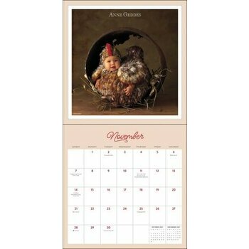 Calendrier 2027 Nourrissons B&eacute;b&eacute;s Anne Geddes