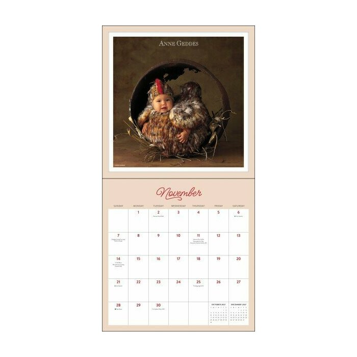 Calendrier 2027 Nourrissons Bébés Anne Geddes Calendrier Photo 2027 Nourrissons Bébés Anne Geddes