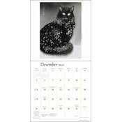 Calendrier 2027 Dessins Aquarelle Chats Endre Penovác Calendrier 2027 papier Dessins Aquarelle Chats Endre Penovác