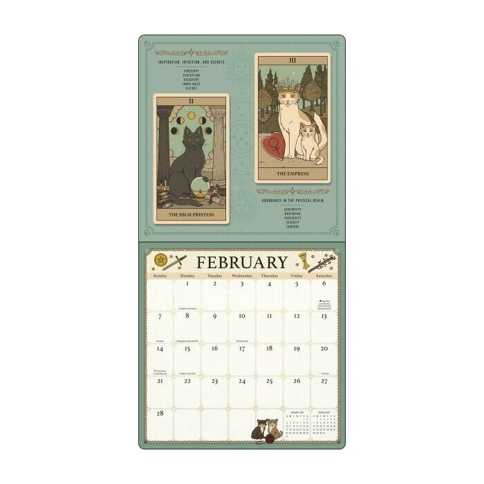 Calendrier 2027 mural papier Dessins Chats Tarots Humour