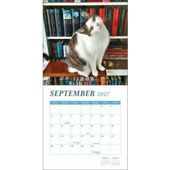 Calendrier 2027 Chats Livres et Biblioth&egrave;ques