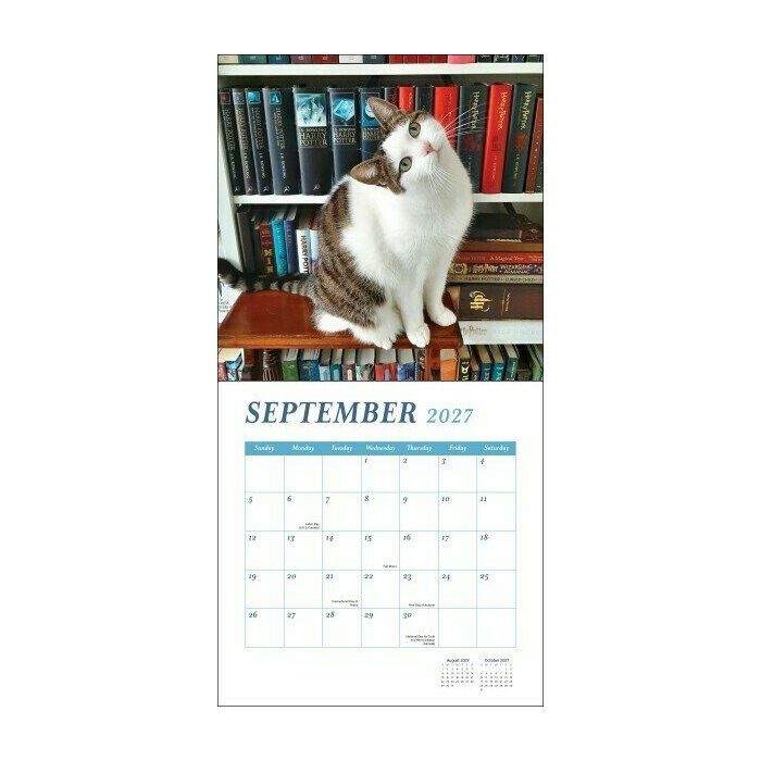 Calendrier 2027 Chats Livres et Bibliothèques Calendrier 2027 mural papier Chats Livres et Bibliothèques