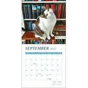 Calendrier 2027 Chats Livres et Bibliothèques Calendrier 2027 mural papier Chats Livres et Bibliothèques