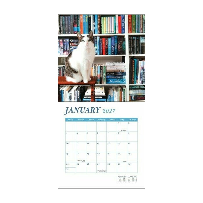 Calendrier 2027 Chats Livres et Bibliothèques Calendrier 2027 mural papier Chats Livres et Bibliothèques