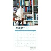 Calendrier 2027 Chats Livres et Bibliothèques Calendrier 2027 mural papier Chats Livres et Bibliothèques