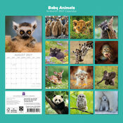 Calendrier 2027 Bébés Animaux Ours Ane Calendrier Mural 2027 Bébés Animaux Ours Phoque