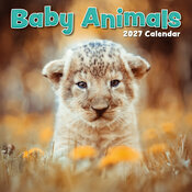 Calendrier 2027 Bébés Animaux Ours Ane Calendrier Mural 2027 Bébés Animaux Ours Ane