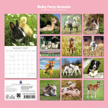Calendrier 2027 B&eacute;b&eacute;s Animaux de la Ferme